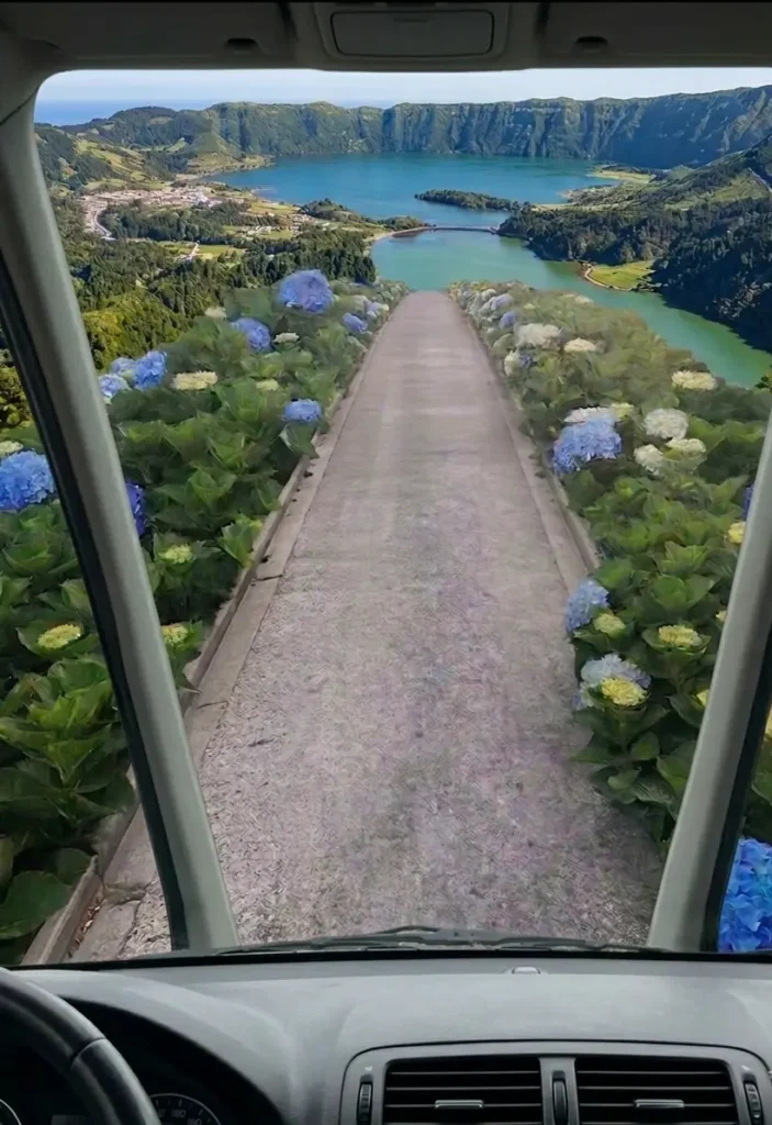 View from inside a car driving down a road lined with blue hydrangeas overlooking the Sete Cidades lakes in São Miguel Island, Azores. PT: Vista do interior de um carro a descer uma estrada ladeada por hortênsias azuis com vista para as lagoas das Sete Cidades, na ilha de São Miguel, Açores.