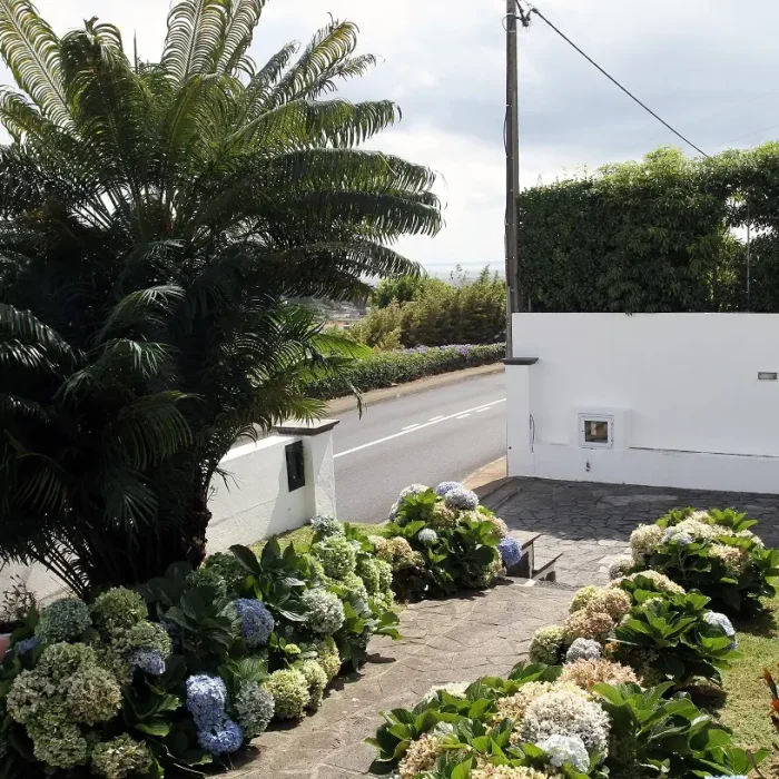 Lush garden terrace with palm trees, hydrangeas, and stone pathways at São Miguel Azores family holiday villa